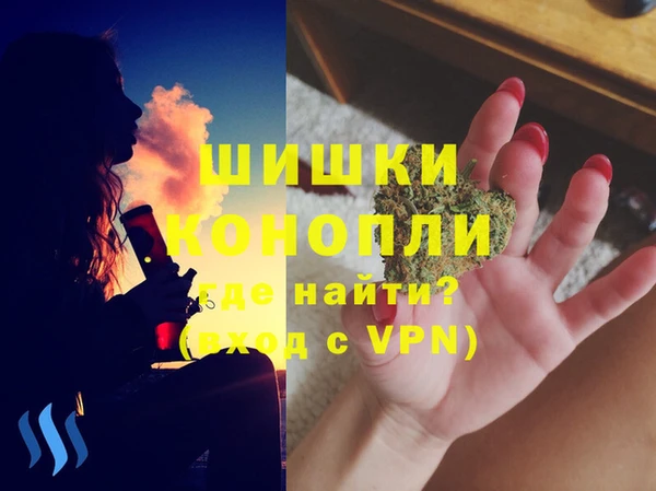 гидропоника Инта
